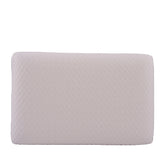 Lunch Box Square - green